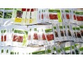 semena-gollandiiavitas-small-4