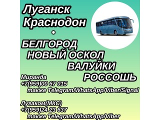 Луганск - Россошь - Валуйки - Новый Оскол - Белгород.Пассажирские перевозки.