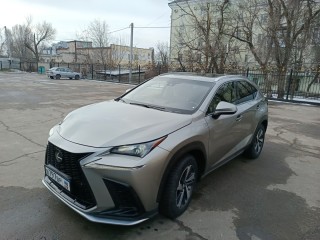 Lexus nx 300. 2017. 2.0(237)