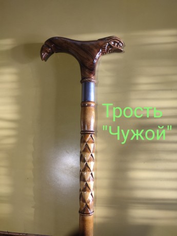 trosti-dlia-xodby-big-3