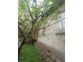 dokumenty-gotovy-prodam-dom-p-uspenka-lutuginskii-r-n-small-2
