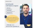 nacalnik-torgovogo-otdela-stroitelnye-materialy-small-0