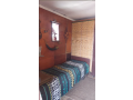 daca-st-kvant-griski-small-3