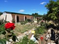 olenevka-sniat-zile-u-moria-7978o677o8o-small-0