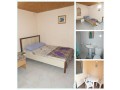 olenevka-sniat-zile-u-moria-7978o677o8o-small-3