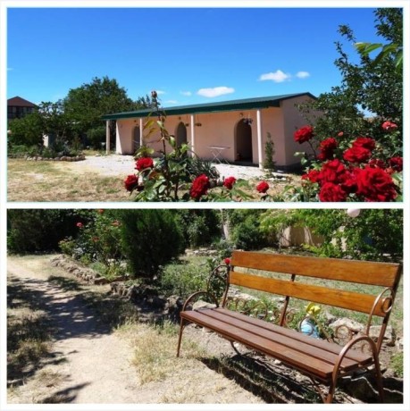 olenevka-sniat-zile-u-moria-7978o677o8o-big-2