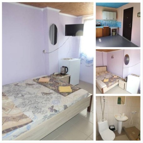 olenevka-sniat-zile-u-moria-7978o677o8o-big-4