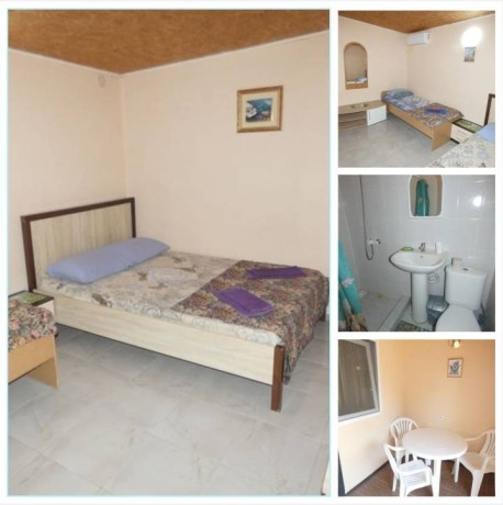 olenevka-sniat-zile-u-moria-7978o677o8o-big-3