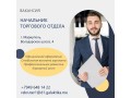 nacalnik-torgovogo-otdela-small-0