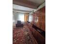 nebolsoi-uiutnyi-dom-v-s-pavlogradskoe-doneckoi-obl-21-sotka-zemli-small-4