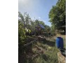 nebolsoi-uiutnyi-dom-v-s-pavlogradskoe-doneckoi-obl-21-sotka-zemli-small-3