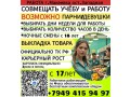 rabota-g-makeevka-s-liubym-grafikom-small-0