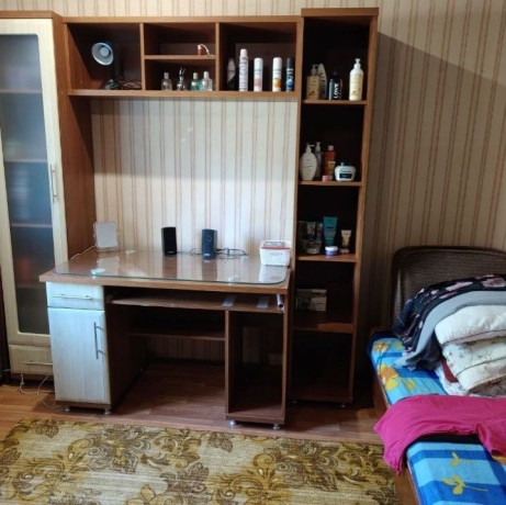 voda-247-dva-doma-na-odnom-ucastke-na-maszavode-idealno-pod-dacu-big-4