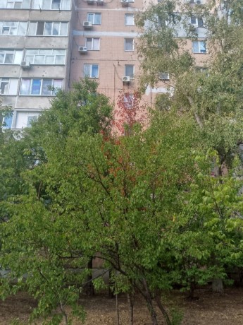 prodam-3-x-komnatnuiu-kvartiru-kvartal-iuznyi-big-0