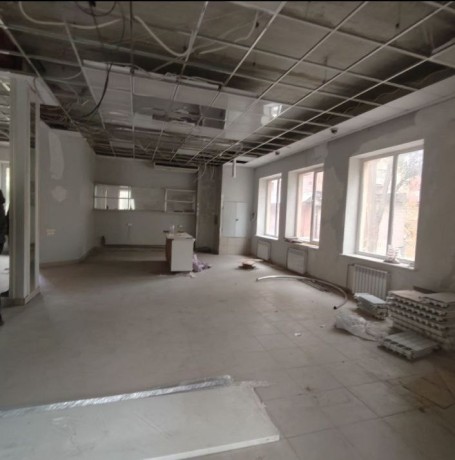 pomeshhenie-pod-biznes-v-centrek-vorosilovskogo-r-na-pr-dzerzinskogo-big-1