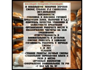 Укладчик-упаковщик