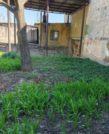 kommerceskoe-proizv-pomeshhenie-v-kievskom-r-ne-v-arendu-ili-na-prodazu-big-2