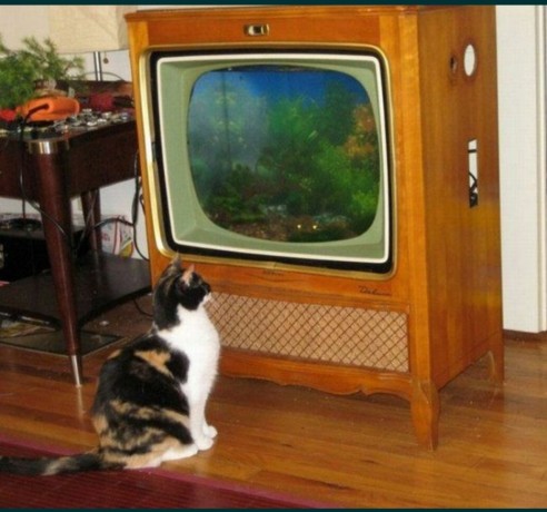 remont-tele-radioapparatury-big-0